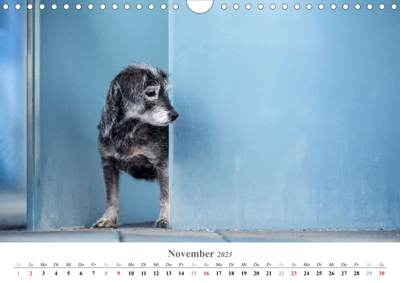 Kalender Hund 2025