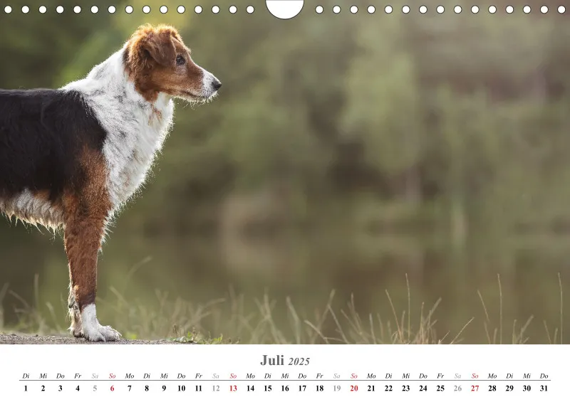 Kalender Hund 2025