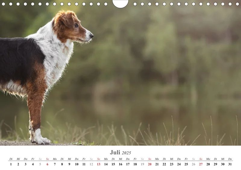 Kalender Hund 2025