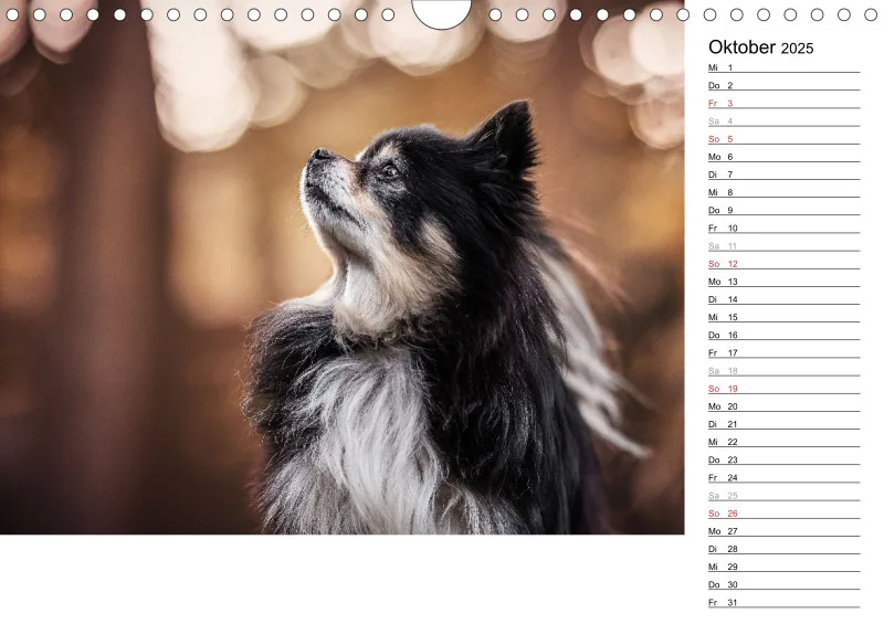 Kalender Hund 2025 mit Notizmöglichkeit