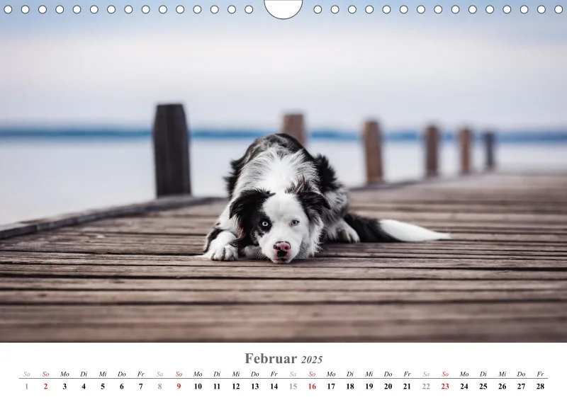 Kalender Hund 2025