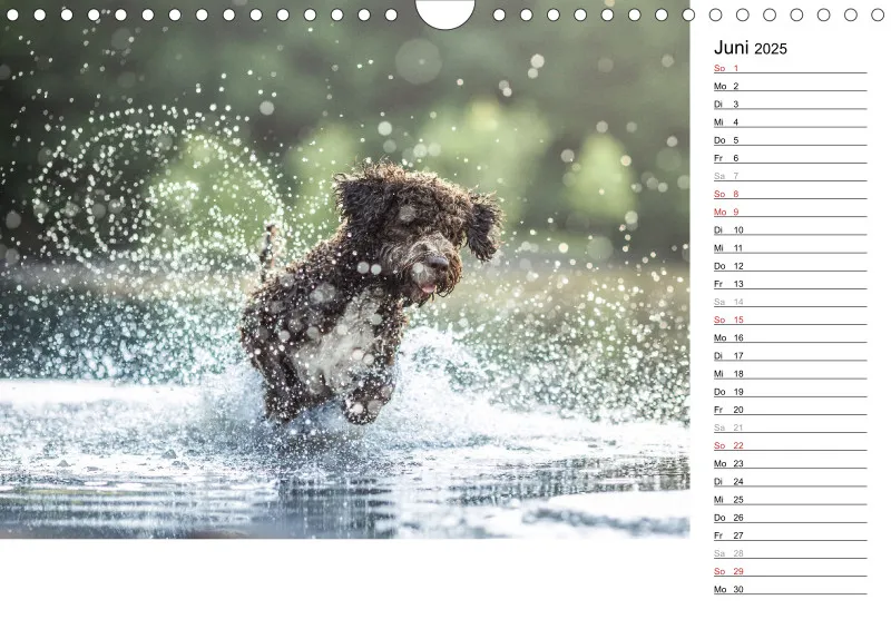 Kalender Hund 2025 mit Notizmöglichkeit