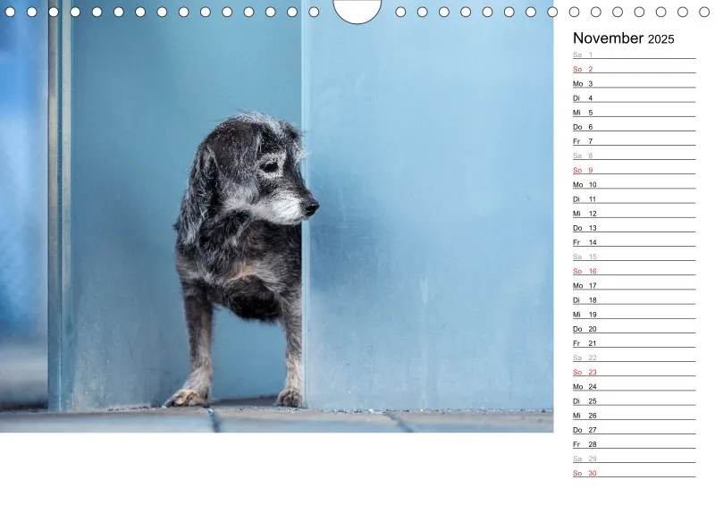 Kalender Hund 2025 mit Notizmöglichkeit