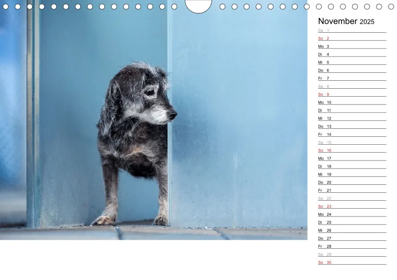 Kalender Hund 2025 mit Notizmöglichkeit