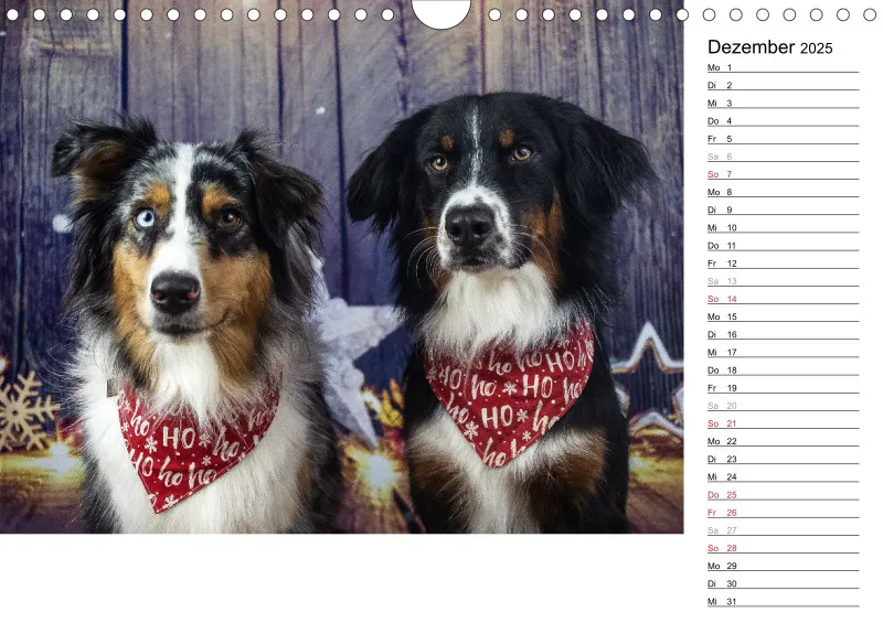 Kalender Hund 2025 mit Notizmöglichkeit