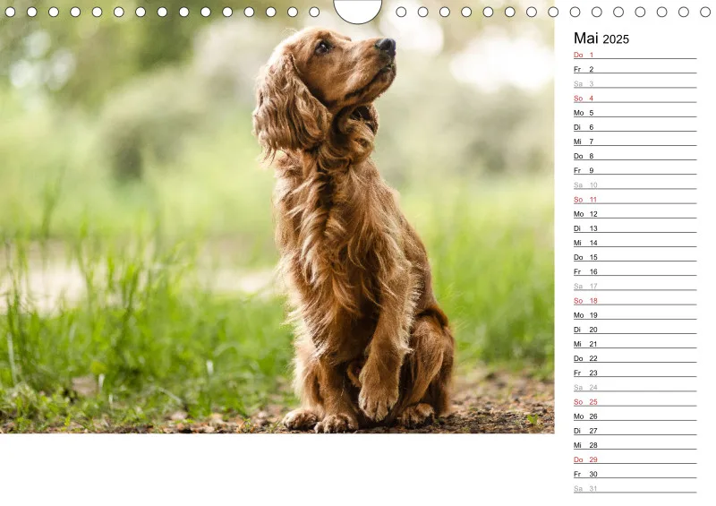 Kalender Hund 2025 mit Notizmöglichkeit