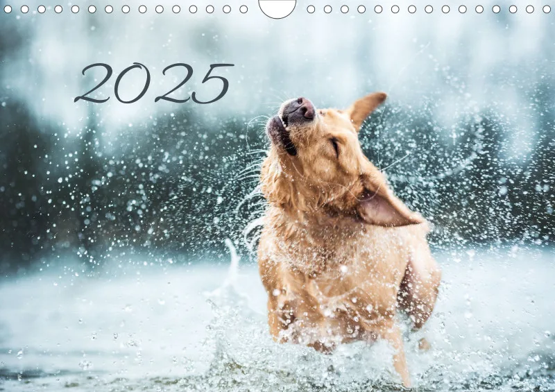 Kalender Hund 2025 mit Notizmöglichkeit