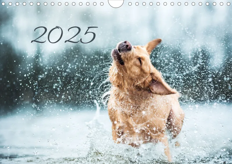 Kalender Hund 2025 mit Notizmöglichkeit