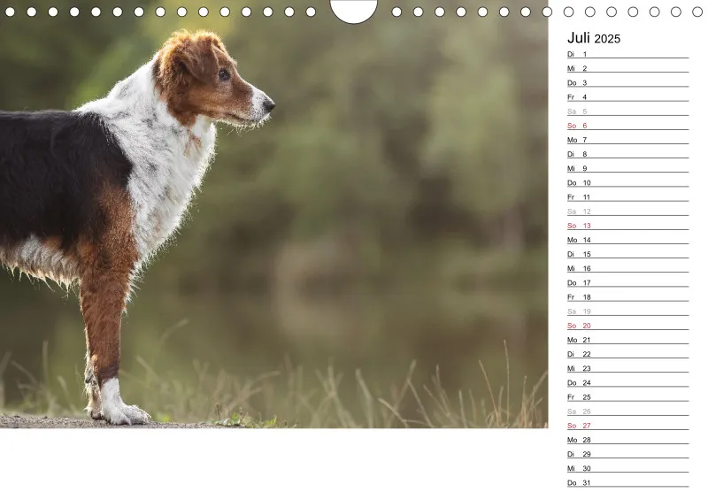 Kalender Hund 2025 mit Notizmöglichkeit