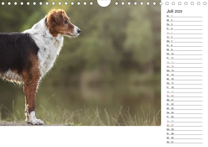 Kalender Hund 2025 mit Notizmöglichkeit