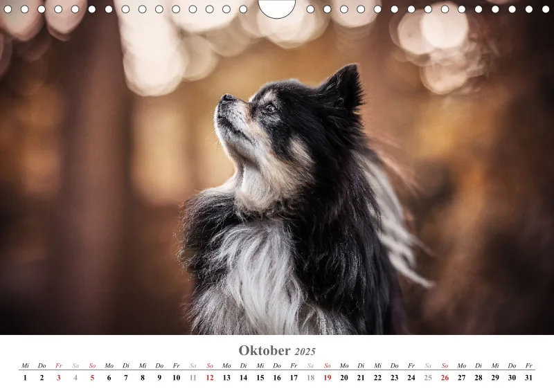 Kalender Hund 2025