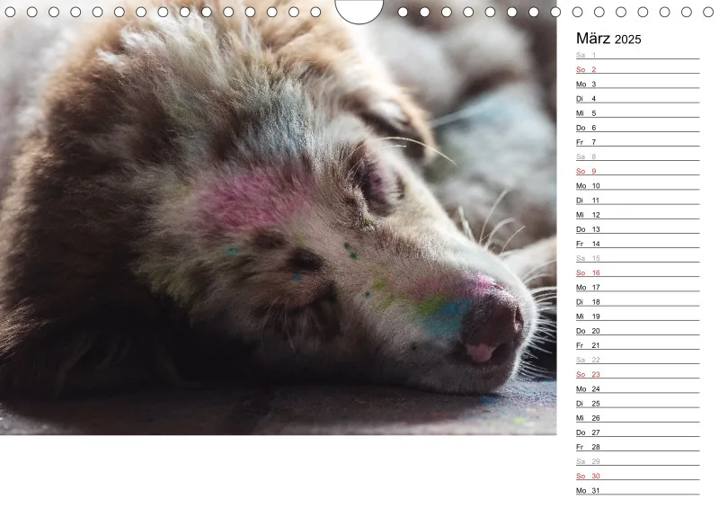 Kalender Hund 2025 mit Notizmöglichkeit
