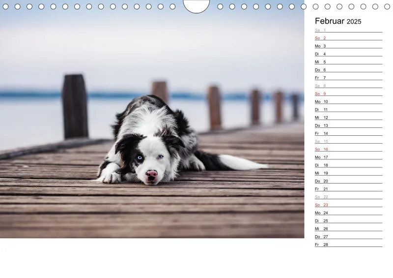 Kalender Hund 2025 mit Notizmöglichkeit