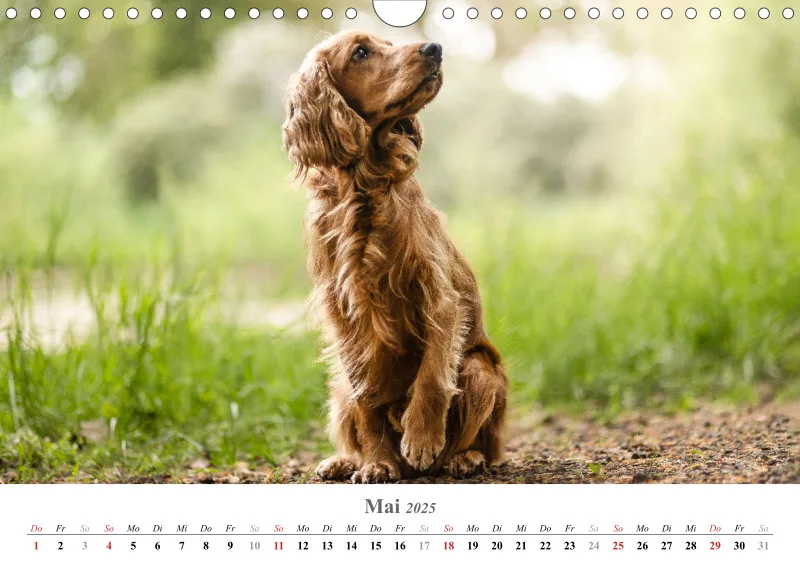 Kalender Hund 2025