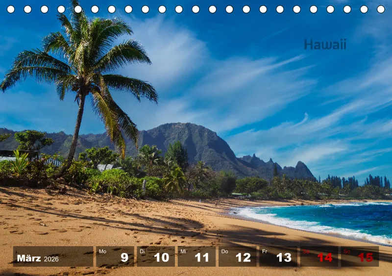 USA - 50 states Wochenkalender 2026