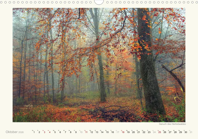 Kalender 2026/27 A3