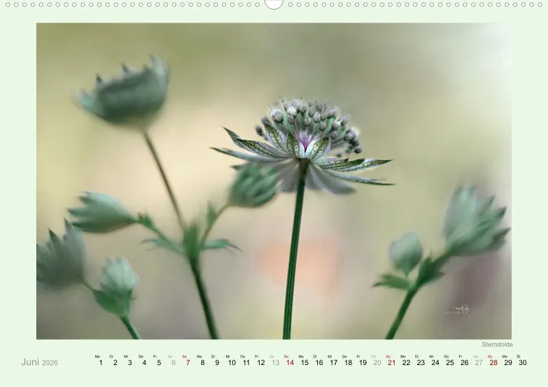 Kalender 2026/27 A2