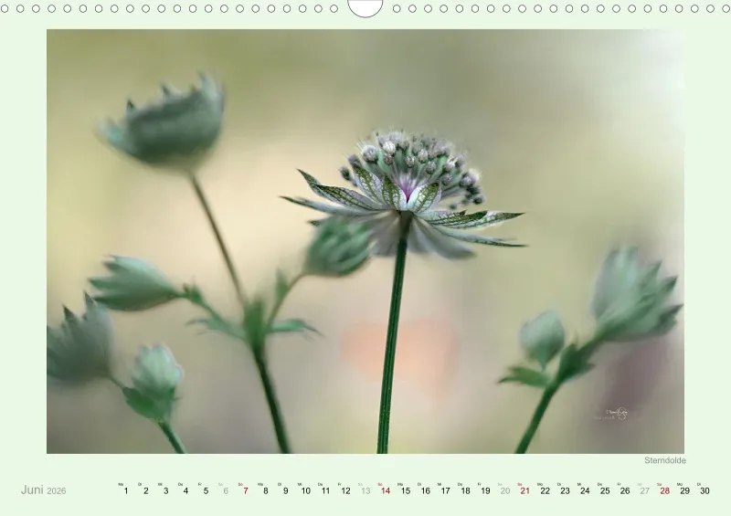 Kalender 2026/27 A3