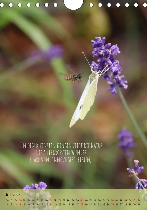 Naturflüstern - bunt und voller Leben