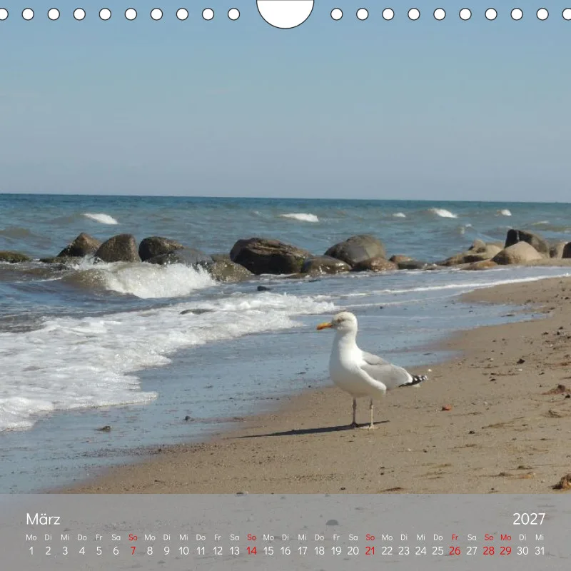Kalender 20x20 - Naturgschichtn - Luft und lauter Meer