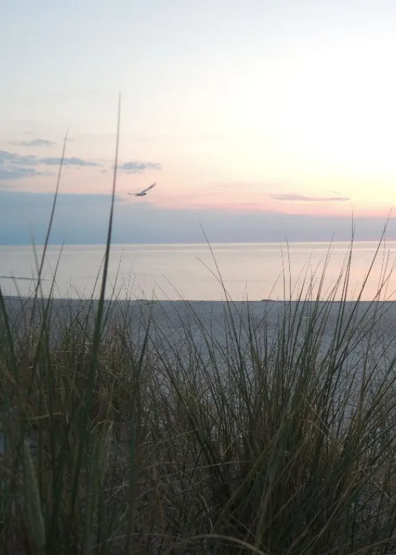Geschirrtuch - Meer