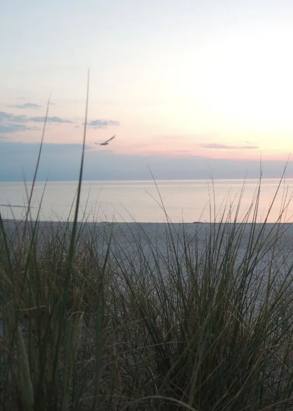 Geschirrtuch - Meer