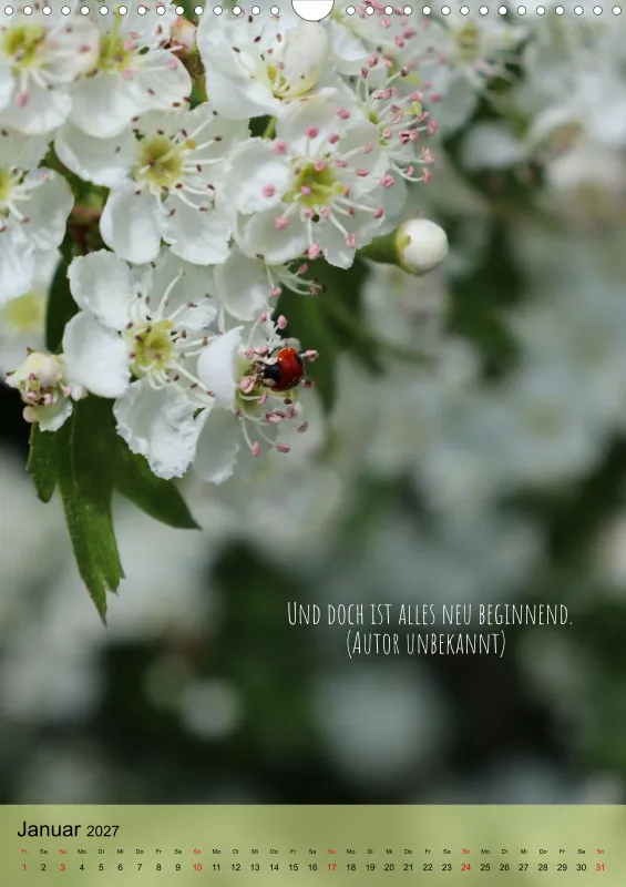 Naturflüstern - bunt und voller Leben