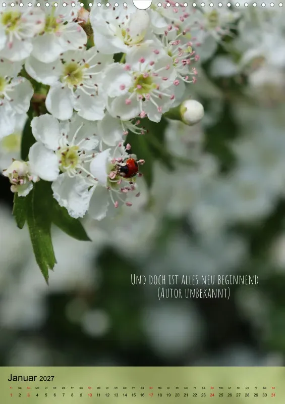 Naturflüstern - bunt und voller Leben