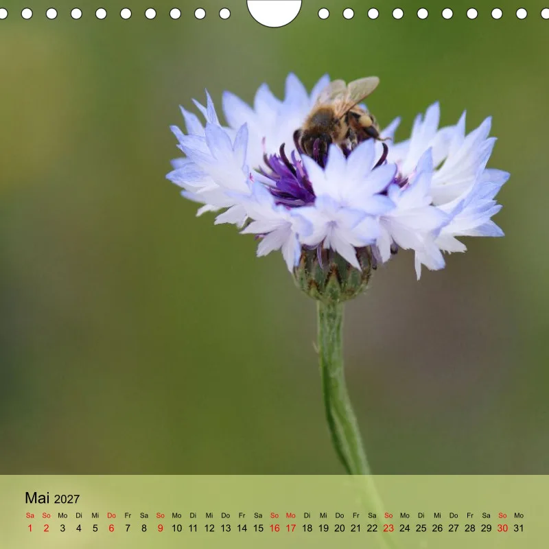 Kalender 20x20 - Naturgschichtn - bunt und voller Leben