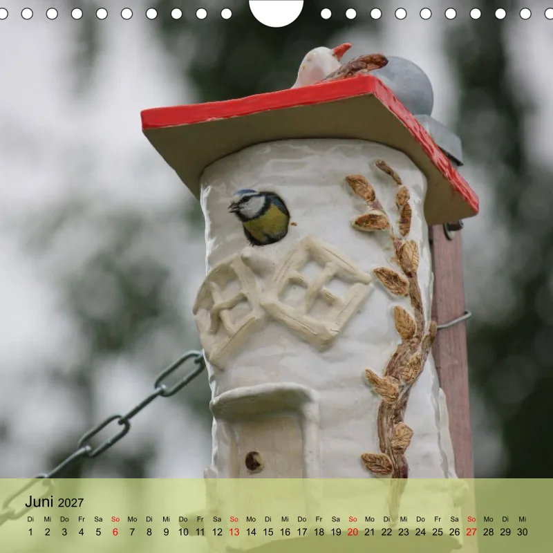 Kalender 20x20 - Naturgschichtn - bunt und voller Leben
