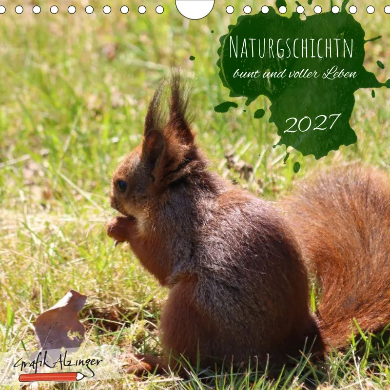 Kalender 20x20 - Naturgschichtn - bunt und voller Leben