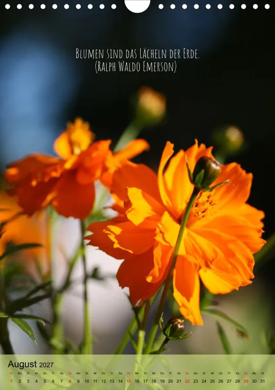Naturflüstern - bunt und voller Leben