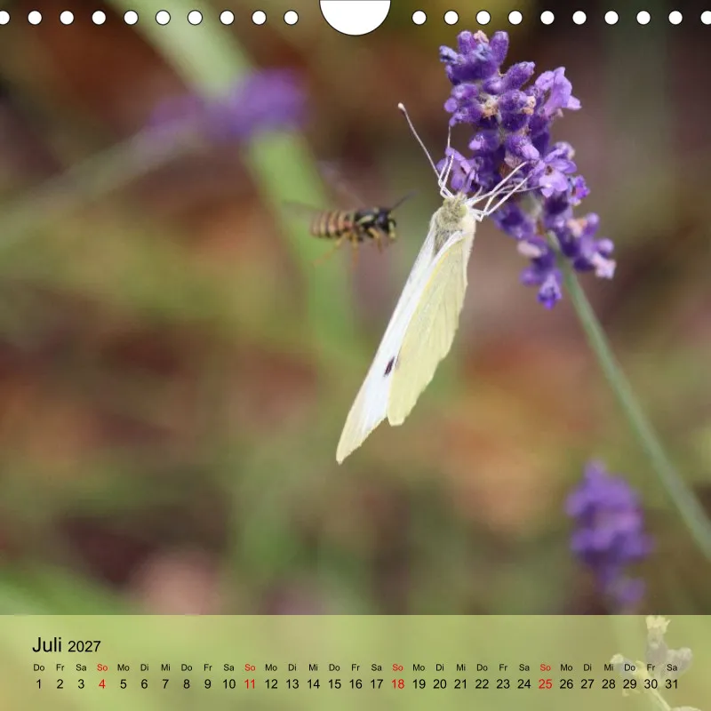 Kalender 20x20 - Naturgschichtn - bunt und voller Leben