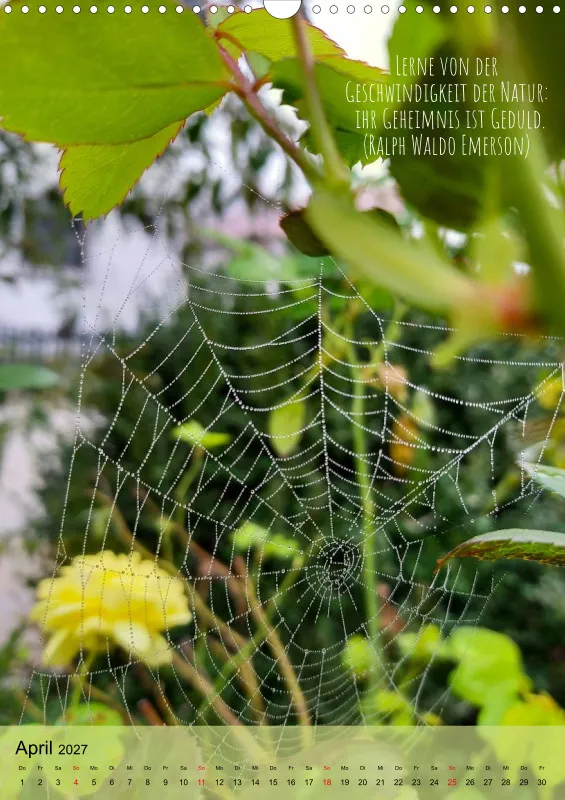 Naturflüstern - bunt und voller Leben