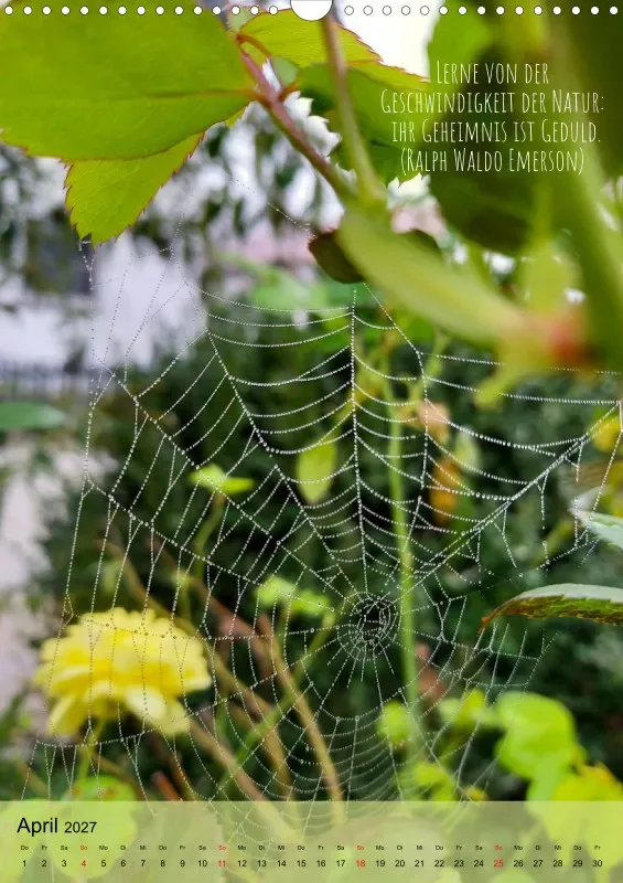 Naturflüstern - bunt und voller Leben