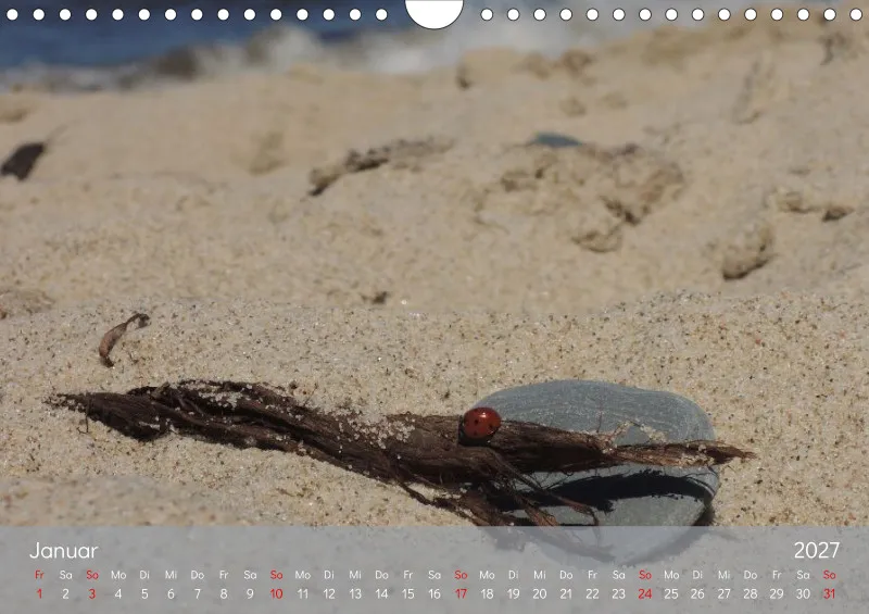 A4 Kalender - Naturgschichtn - Luft und lauter Meer