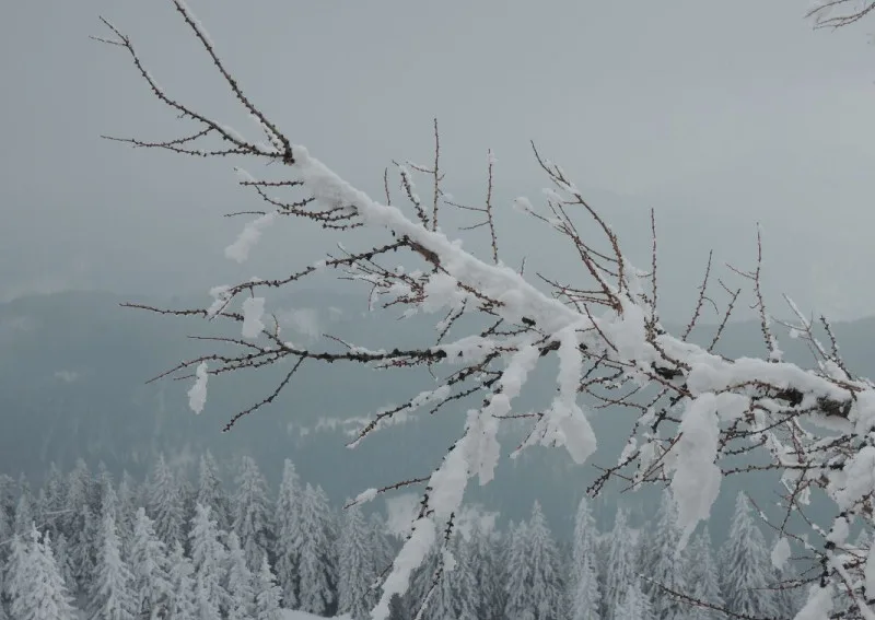 Postkarte - Winterlandschaft