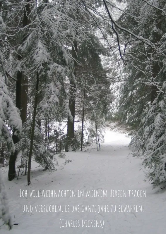 Postkarte - Winterwald