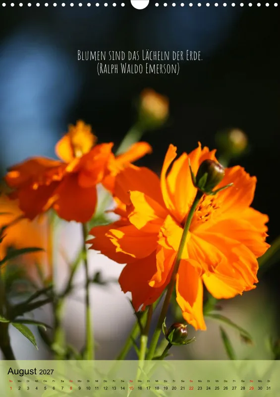 Naturflüstern - bunt und voller Leben