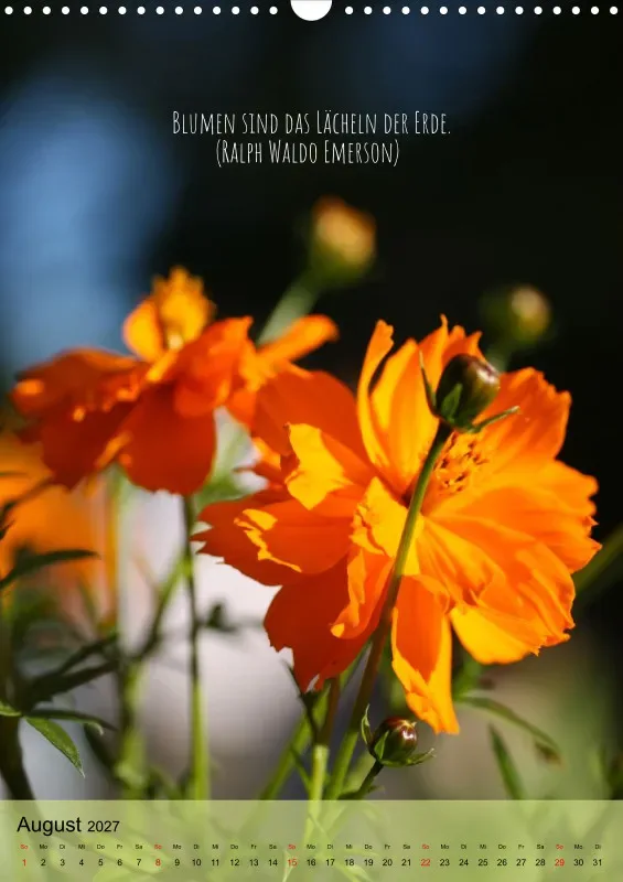 Naturflüstern - bunt und voller Leben