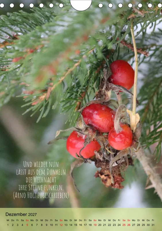 Naturflüstern - bunt und voller Leben
