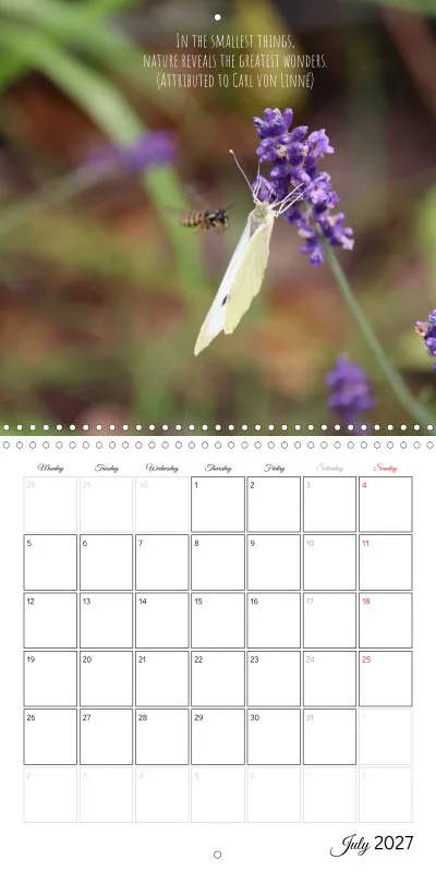 Klappkalender in englischer Sprache - Naturgschichtn - colorful and full of life