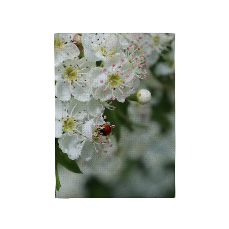 Geschirrtuch - Marienkäfer