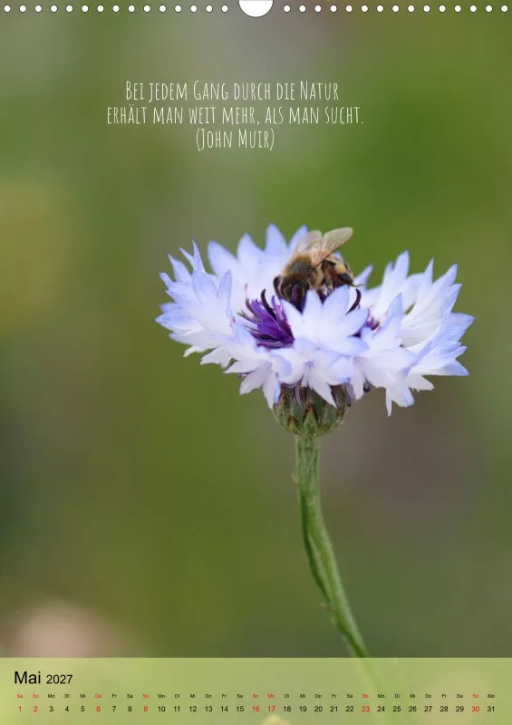 Naturflüstern - bunt und voller Leben
