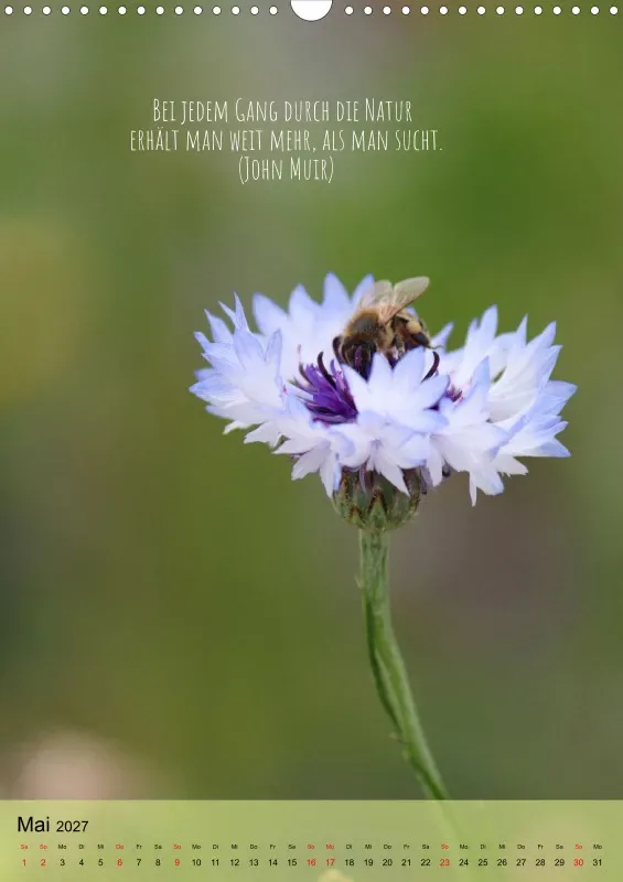 Naturflüstern - bunt und voller Leben