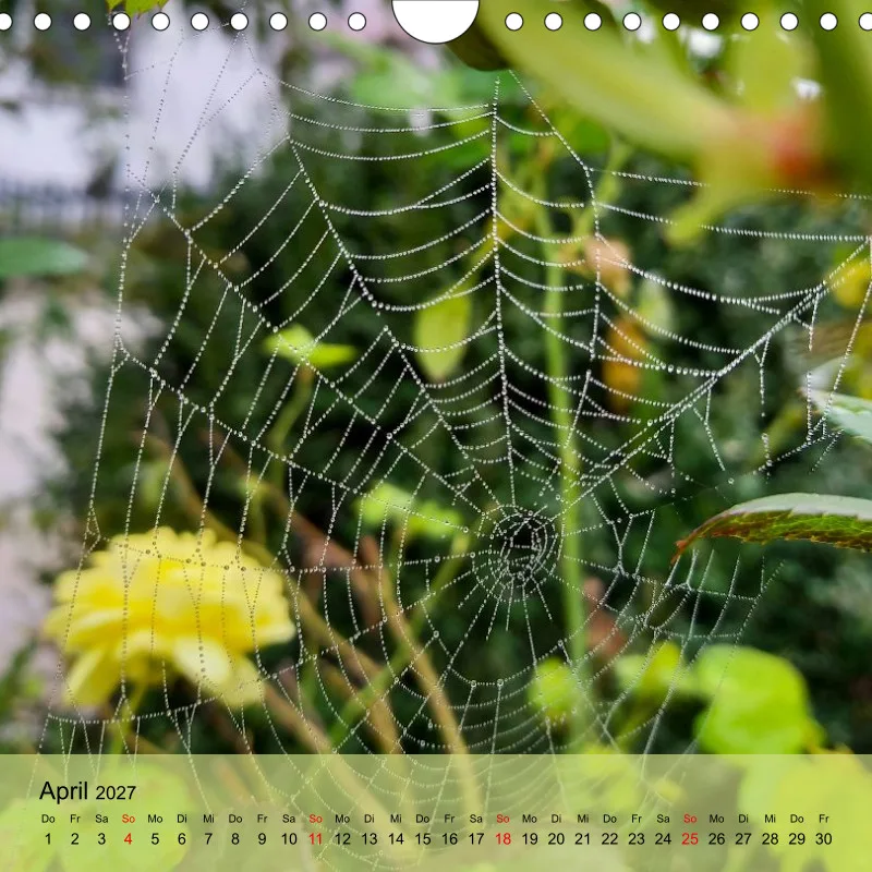 Kalender 20x20 - Naturgschichtn - bunt und voller Leben