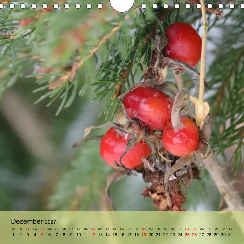 Kalender 20x20 - Naturgschichtn - bunt und voller Leben