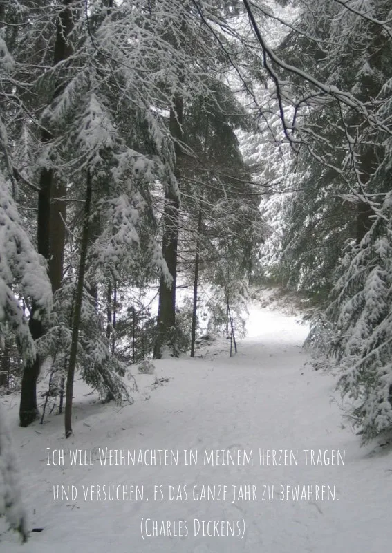 Postkarte - Winterwald
