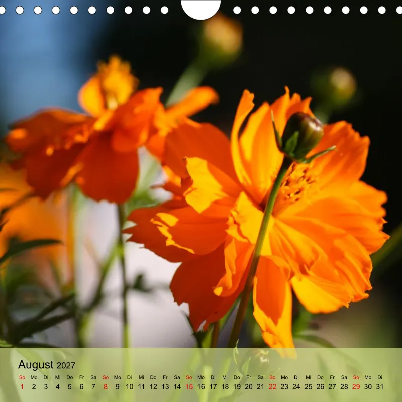 Kalender 20x20 - Naturgschichtn - bunt und voller Leben