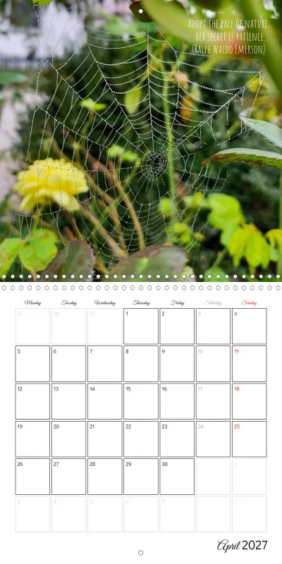 Whispers of Nature - colorful and full of life